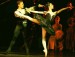 tamara-rojo-as-the-black-swan-in-the-royal-ballets-swan-lake-with-johan-persson-2000-photo-alastair-muir